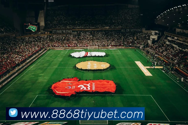 8868体育APP 封面图